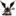 vicrecords.com