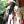 Big Chief Monk Boudreaux, Музыкальный Портал α