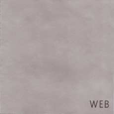 Обложка альбома Web, Музыкальный Портал α