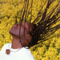 Exile, Музыкальный Портал α