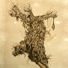 Обложка альбома Face Light, Музыкальный Портал α