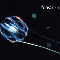 Обложка альбома Gas 0095, Музыкальный Портал α