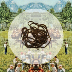 Обложка альбома Paper Tusk, Музыкальный Портал α