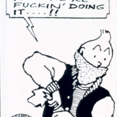 Обложка альбома Raï Cuivré, Музыкальный Портал α