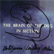 Обложка альбома The Brain of the Dog in Section, Музыкальный Портал α
