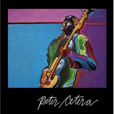 Обложка альбома Walk In The Sun, Музыкальный Портал α