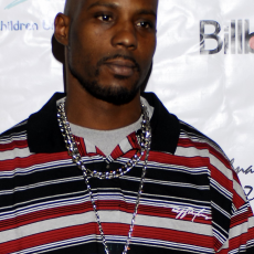 DMX, Музыкальный Портал α