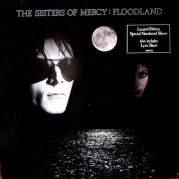 Floodland, Музыкальный Портал α