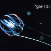 Обложка альбома Gas 0095, Музыкальный Портал α