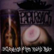 Old Friends From Young Years, Музыкальный Портал α