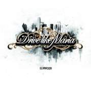 Обложка альбома Searching for the Hows and Whys, Музыкальный Портал α