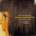 Violin Concertos, Музыкальный Портал α