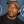 Nate Dogg, Музыкальный Портал α