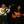 Peter Rowan, Музыкальный Портал α