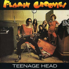 Обложка альбома Teenage Head, Музыкальный Портал α