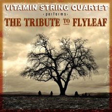 Обложка альбома The Tribute to Flyleaf, Музыкальный Портал α
