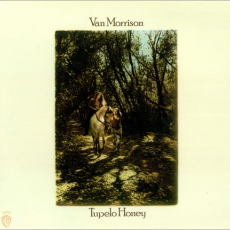 Обложка альбома Tupelo Honey, Музыкальный Портал α
