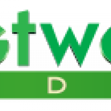 Westwood Studios, Музыкальный Портал α