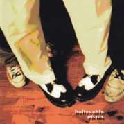 Обложка альбома Believable Picnic, Музыкальный Портал α