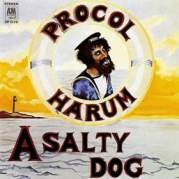 Обложка альбома A Salty Dog, Музыкальный Портал α