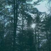 Обложка альбома Kip of the Serenes, Музыкальный Портал α