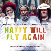Обложка альбома Natty Will Fly Again, Музыкальный Портал α