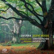 Silent Woods: Music for Cello and Piano, Музыкальный Портал α