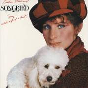 Songbird, Музыкальный Портал α