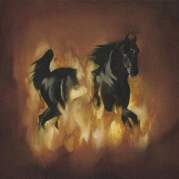 Обложка альбома The Besnard Lakes Are the Dark Horse, Музыкальный Портал α