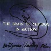 Обложка альбома The Brain of the Dog in Section, Музыкальный Портал α