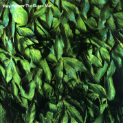Обложка альбома The Green Man, Музыкальный Портал α